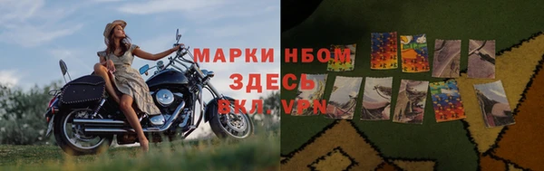 прущие грибы Дмитров
