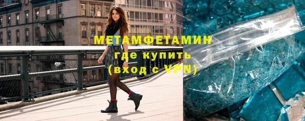 прущие грибы Дмитров