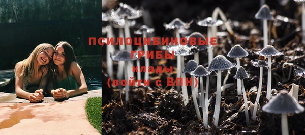 каннабис Гусиноозёрск