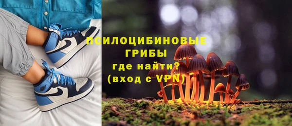 СК Гусь-Хрустальный