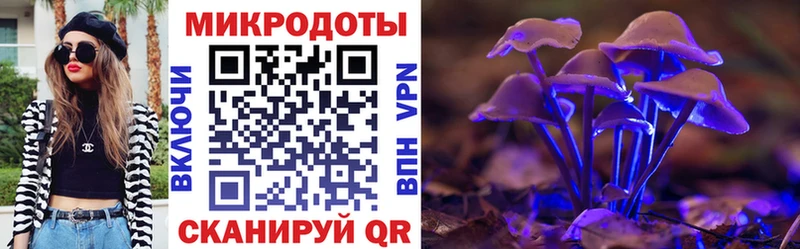 Купить закладки  Павловский Посад  Псилоцибиновые грибы Magic Shrooms 
